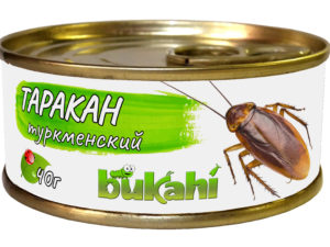 Консервированные туркменские тараканы